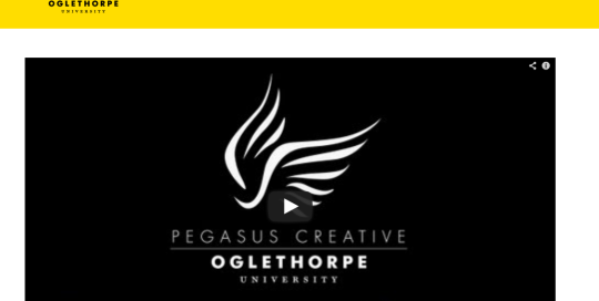 Pegasus Website Screenshot 2